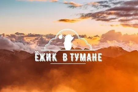 Ёжик в тумане