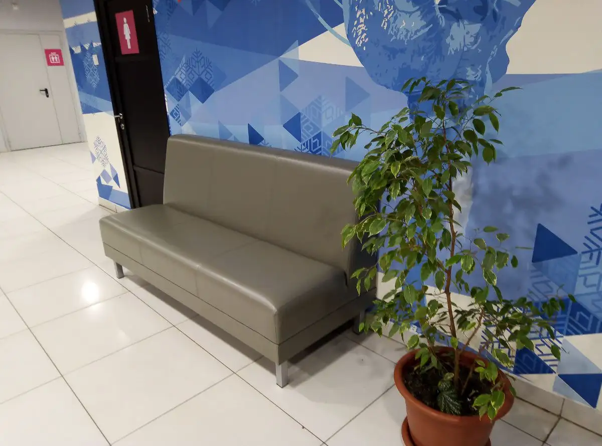 Диваны и пуфы для ледового дворца «Рассвет»