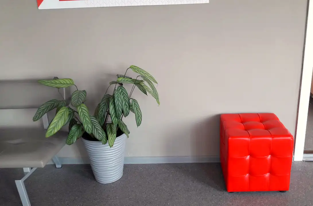 Школьная мебель для Солонцовской школы